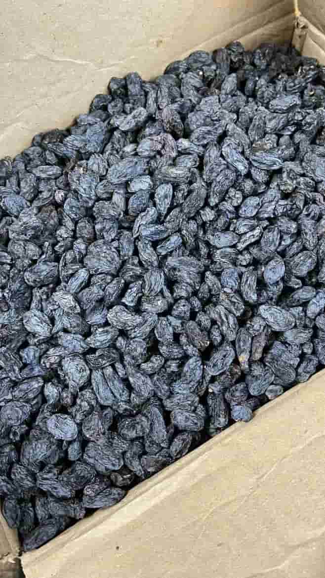 تصویر 4 از خرید کشمش سیاه درجه 1 + قیمت فروش استثنایی